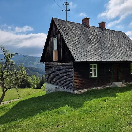 Zankl Villa Lavamünd Екстериор снимка