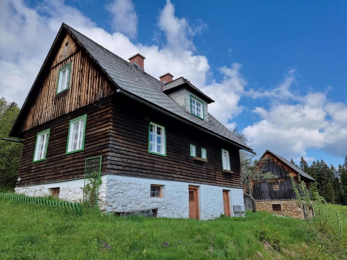 Zankl Villa Lavamünd Екстериор снимка