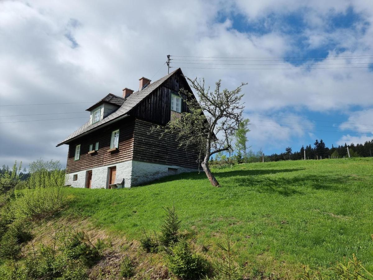 Zankl Villa Lavamünd Екстериор снимка