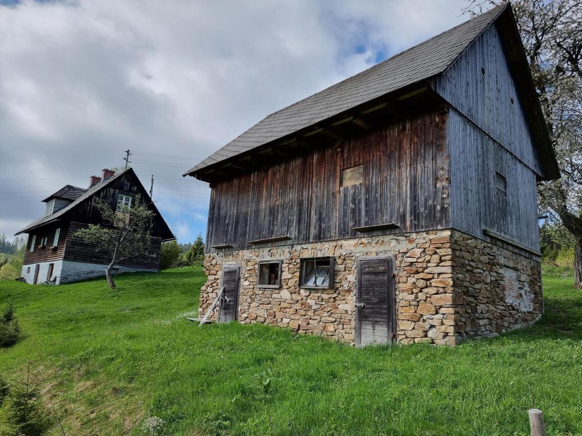 Zankl Villa Lavamünd Екстериор снимка